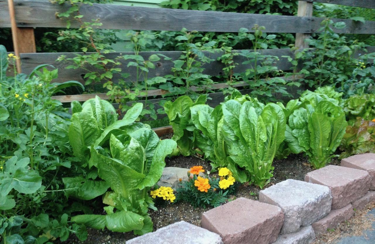 Gardenside Bed And Breakfast Anchorage Exterior foto